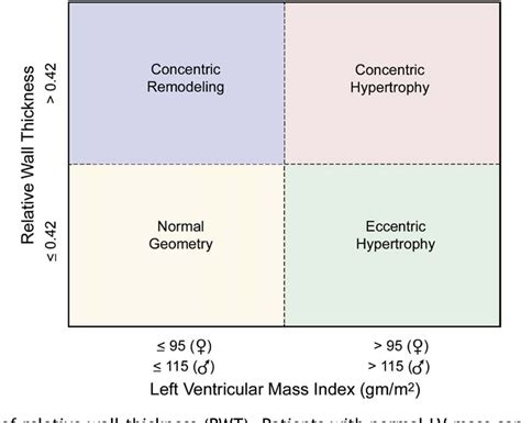 tte chamber quantification guidelines